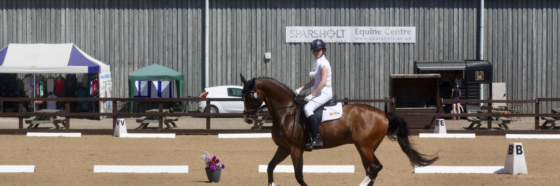 Ilse Dressage Para Equestrian Dedication Aspect Ratio 1800 600
